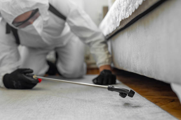 Professional Pest Control technician working in Poquoson city County, VA